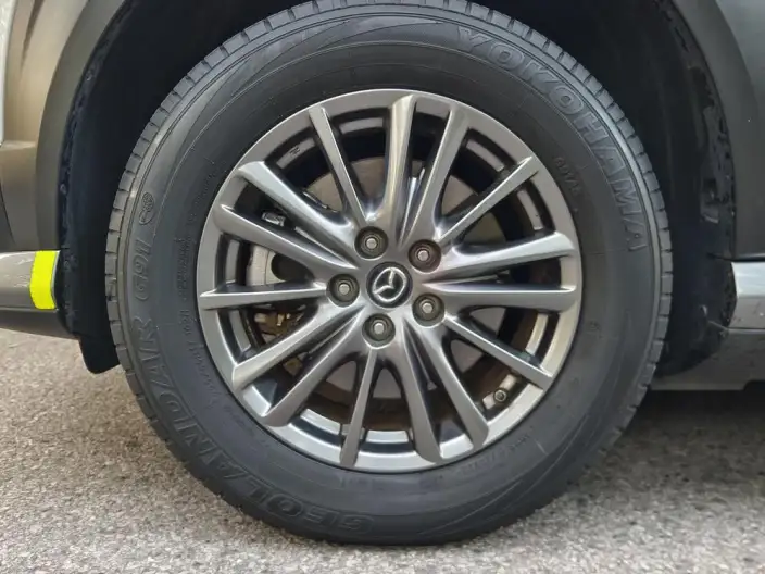 Mazda CX-30 EV 2021 Model EV Exclusive Edition – фото 7