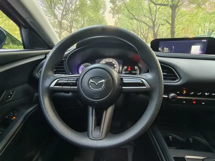 Mazda CX-30 EV 2021 Model EV Exclusive Edition – фото 10
