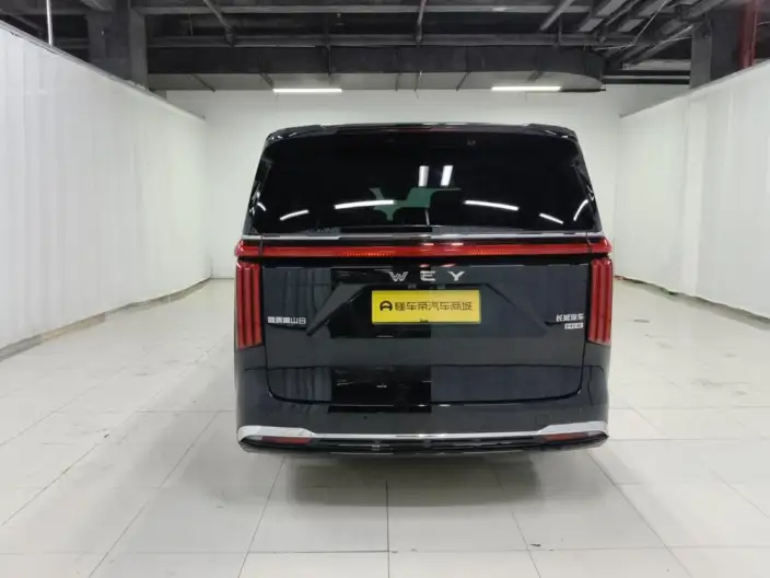 Wey Gaoshan P HEV 2025 Model 4WD Wey Gaoshan 8 – фото 6