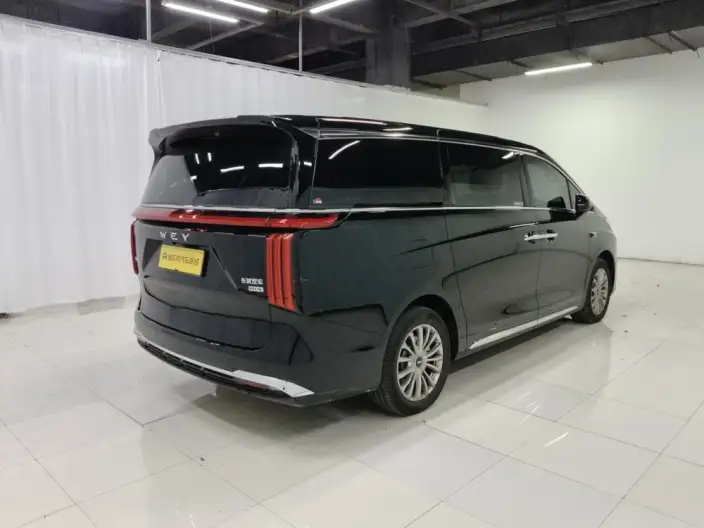 Wey Gaoshan P HEV 2025 Model 4WD Wey Gaoshan 8 – фото 7