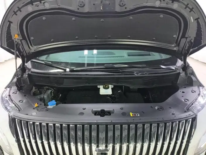 Wey Gaoshan P HEV 2025 Model 4WD Wey Gaoshan 8 – фото 10