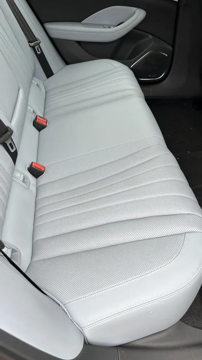 Hongqi H5 PHEV 2025 Model 170 Chao Hybrid Edition – фото 10