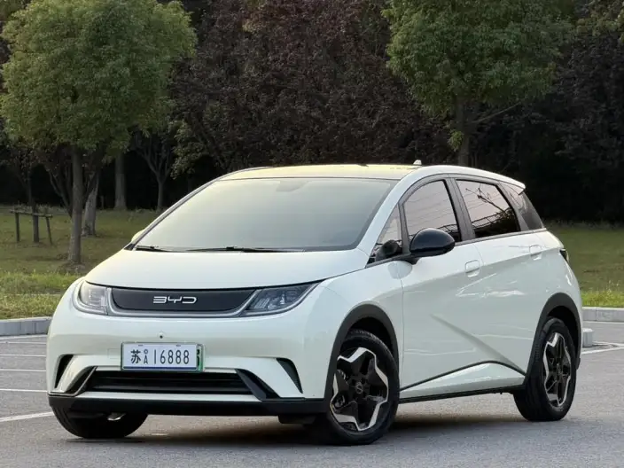 BYD Dolphin 2021 Model Fashion Edition – фото 1