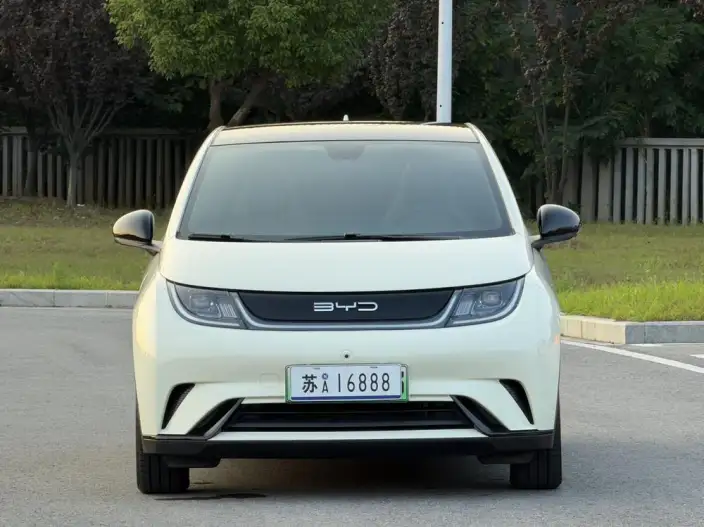 BYD Dolphin 2021 Model Fashion Edition – фото 2