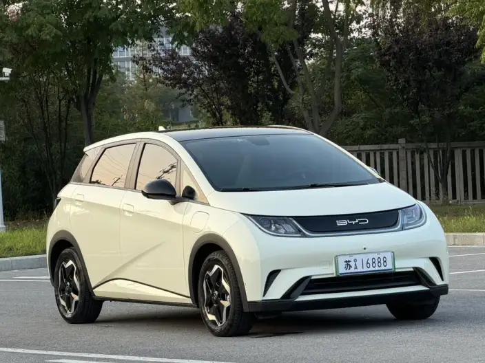 BYD Dolphin 2021 Model Fashion Edition – фото 3