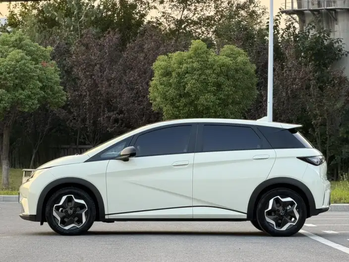 BYD Dolphin 2021 Model Fashion Edition – фото 4