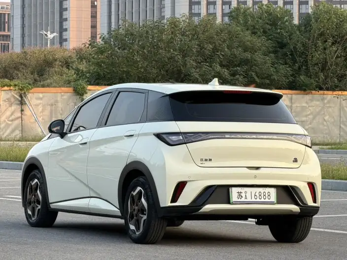 BYD Dolphin 2021 Model Fashion Edition – фото 5