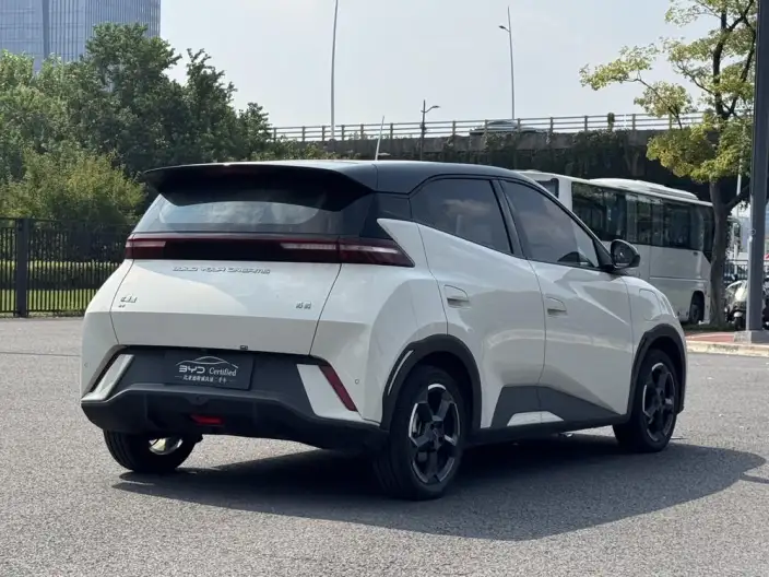 BYD Seagull 2023 Model Feixiang Edition – фото 4