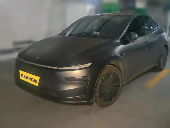 Model Y 2025 Model Rear-wheel drive version – фото 1