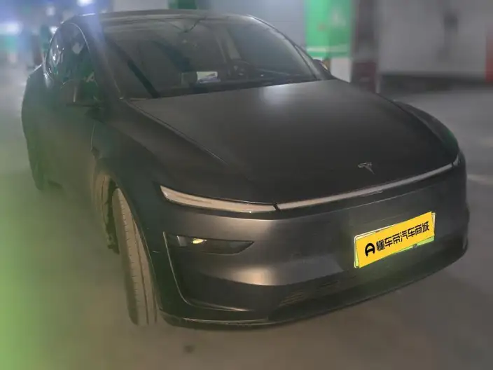 Model Y 2025 Model Rear-wheel drive version – фото 3