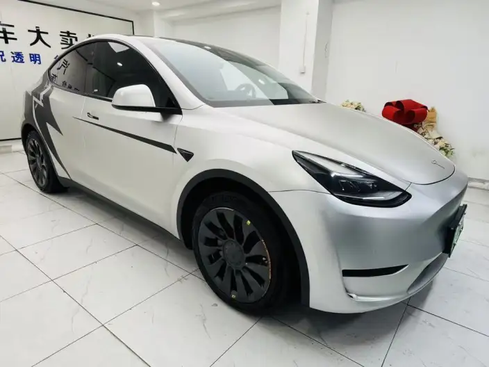 Model Y 2022 Model Rear-wheel drive version – фото 3