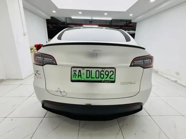 Model Y 2022 Model Rear-wheel drive version – фото 6