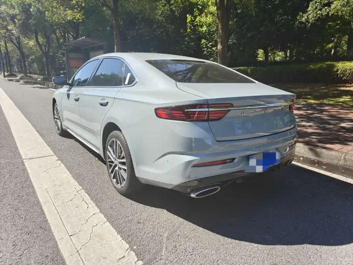 Geely StarRui 2023 Model 2.0T Noble Model