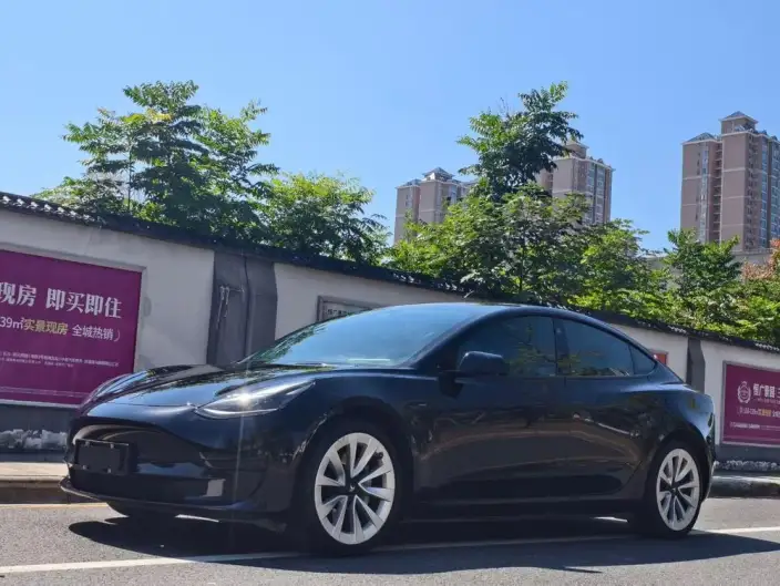 Model 3 2022 Model Rear-wheel drive version – фото 1