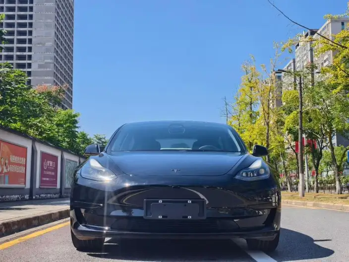 Model 3 2022 Model Rear-wheel drive version – фото 2