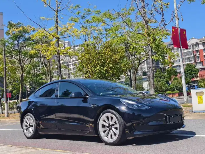 Model 3 2022 Model Rear-wheel drive version – фото 3
