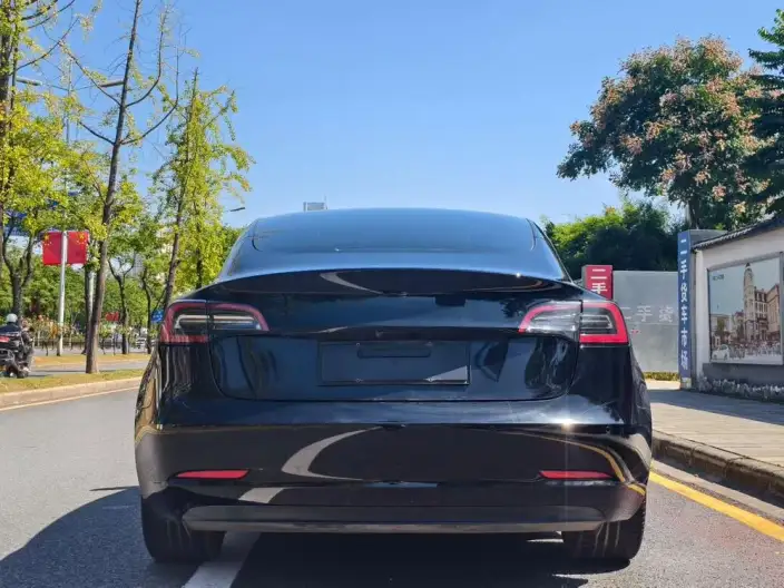 Model 3 2022 Model Rear-wheel drive version – фото 5