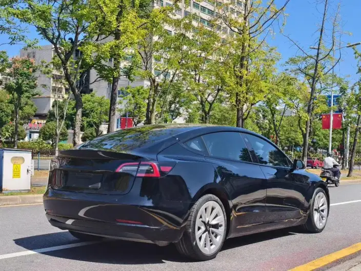 Model 3 2022 Model Rear-wheel drive version – фото 6