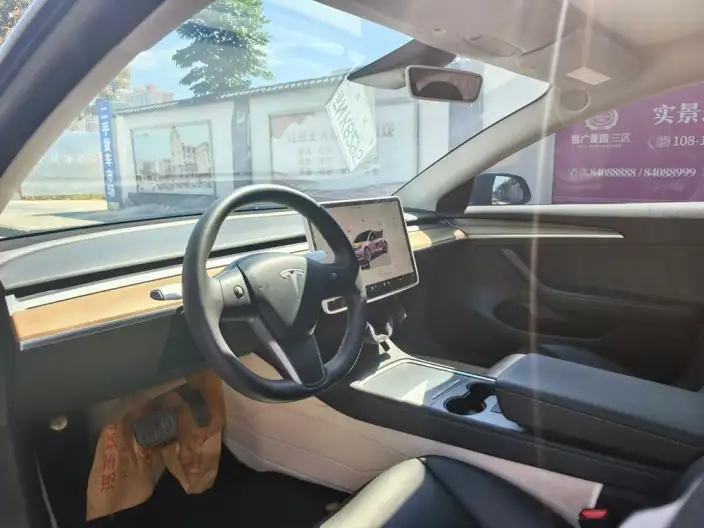 Model 3 2022 Model Rear-wheel drive version – фото 9