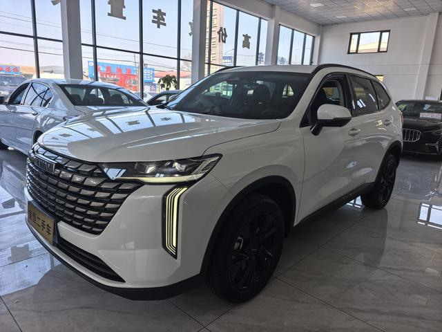 Haval H6 2024 2.0T Automatic 2WD Max – фото 1