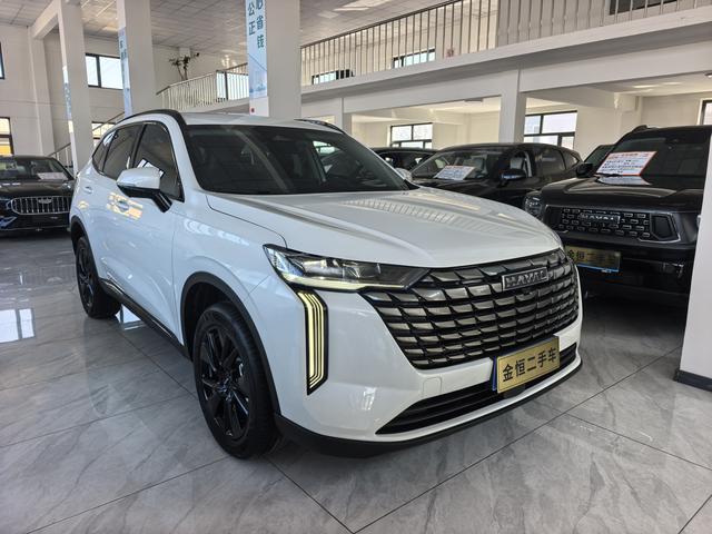 Haval H6 2024 2.0T Automatic 2WD Max – фото 2
