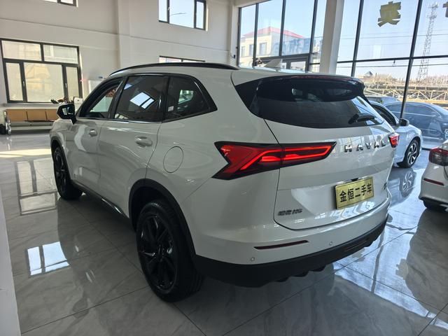 Haval H6 2024 2.0T Automatic 2WD Max – фото 5