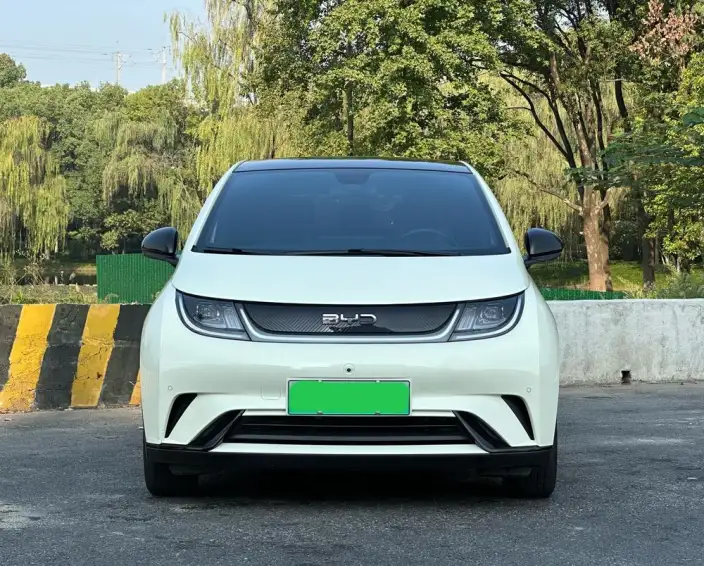 BYD Dolphin 2025 Model 420KM Fashion Edition – фото 2