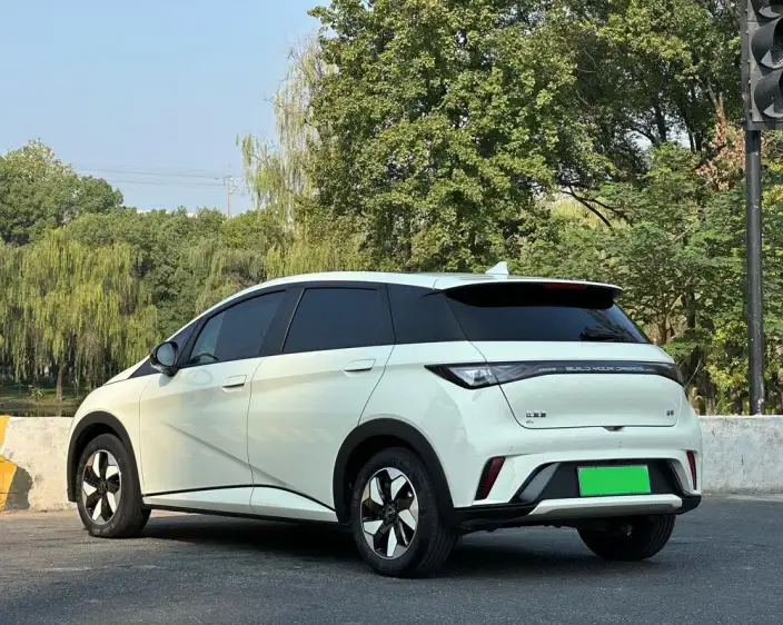BYD Dolphin 2025 Model 420KM Fashion Edition – фото 4