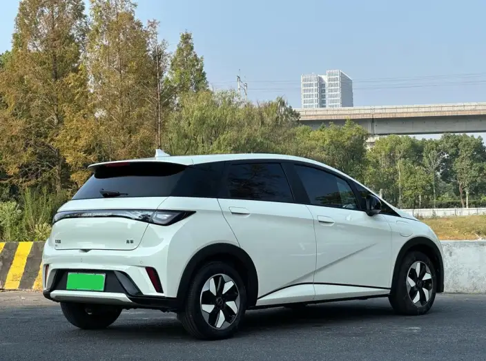 BYD Dolphin 2025 Model 420KM Fashion Edition – фото 6
