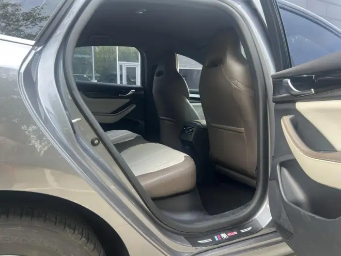 BYD Qin PLUS DM 2023 Model DM-i Champion Edition 55KM Leading Model – фото 8
