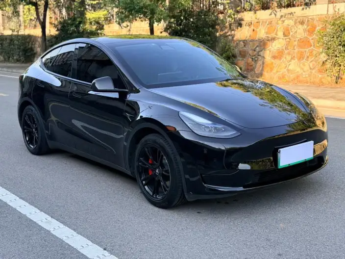 Model Y 2022 Model Facelift Rear-wheel drive version – фото 3