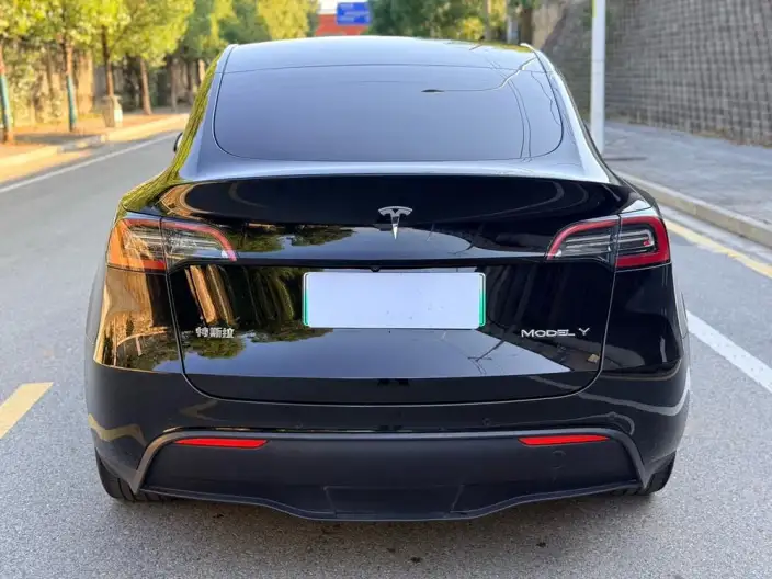 Model Y 2022 Model Facelift Rear-wheel drive version – фото 5