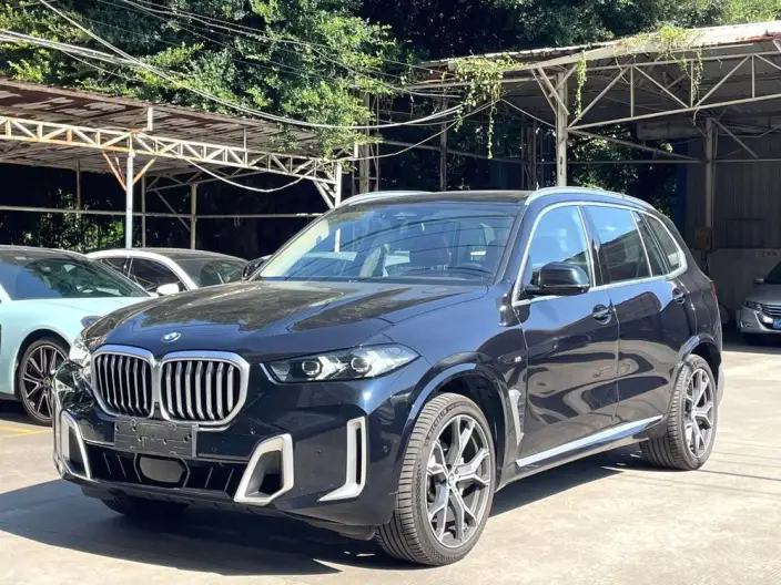 BMW X5 2023 Model xDrive30Li Exclusive Model M Sports Set – фото 5