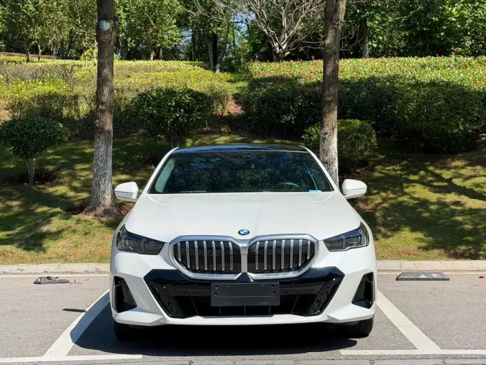 BMW 5 Series 2024 Model 530Li Exclusive Model M Sports Set – фото 2