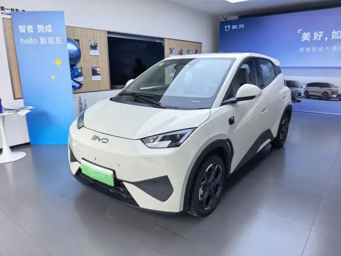 BYD Seagull 2025 Model Smart Driving Edition 405KM Feixiang Edition – фото 1