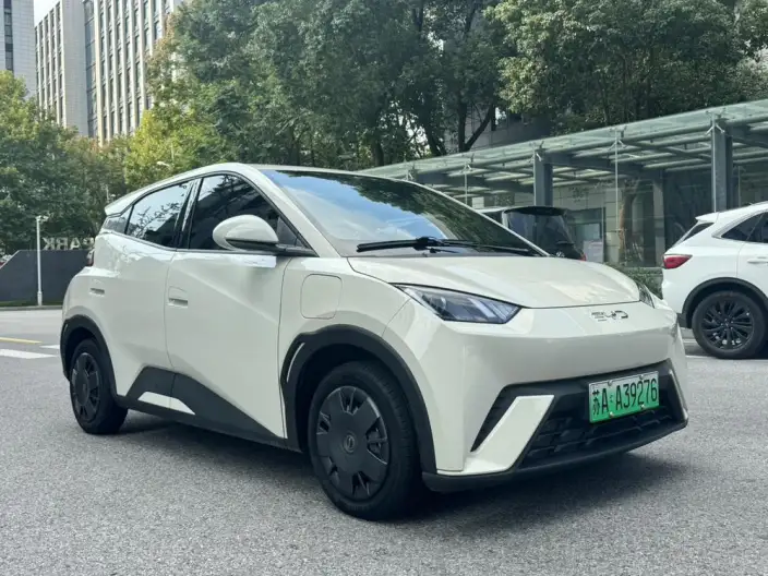 BYD Seagull 2023 Model Vitality Edition – фото 3
