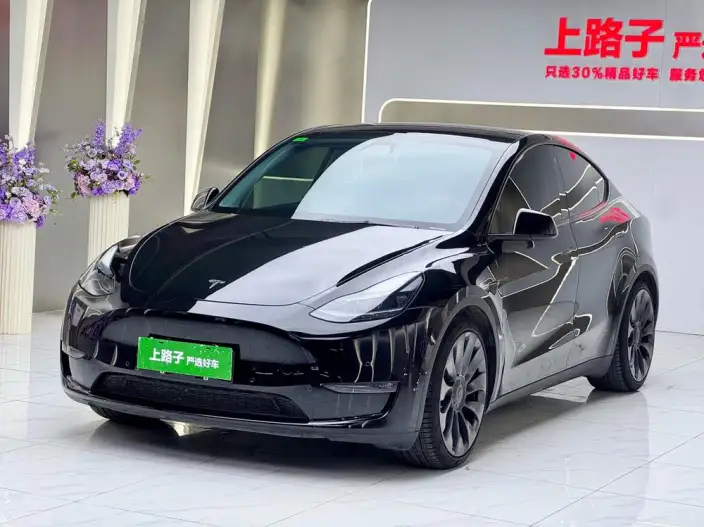 Model Y 2022 Model Performance High performance All-wheel drive version – фото 1