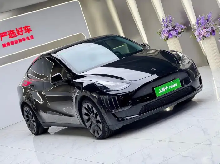 Model Y 2022 Model Performance High performance All-wheel drive version – фото 3