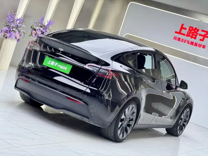 Model Y 2022 Model Performance High performance All-wheel drive version – фото 6