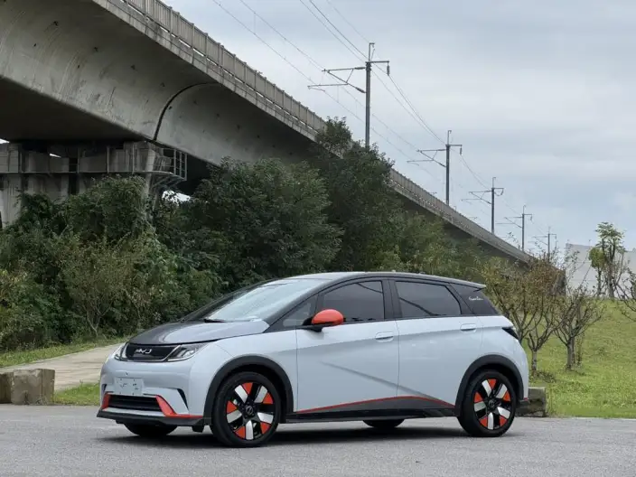 BYD Dolphin 2021 Model Knight Edition – фото 1