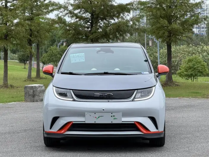 BYD Dolphin 2021 Model Knight Edition – фото 2