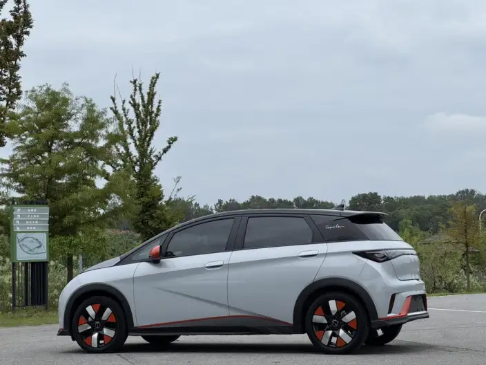 BYD Dolphin 2021 Model Knight Edition – фото 4