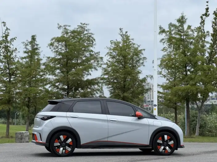 BYD Dolphin 2021 Model Knight Edition – фото 6