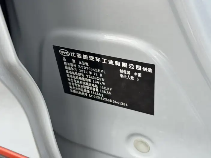 BYD Dolphin 2021 Model Knight Edition – фото 8