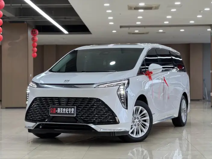 Century 2023 Model 2.0T VI seat Yunshi Edition – фото 1