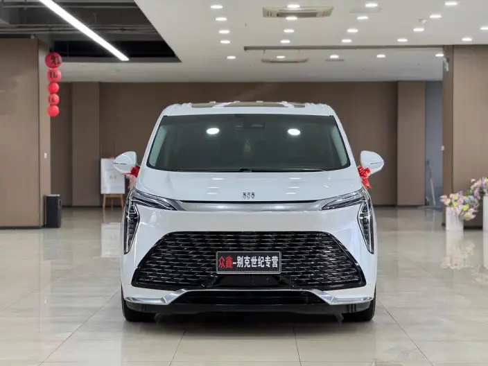 Century 2023 Model 2.0T VI seat Yunshi Edition – фото 2