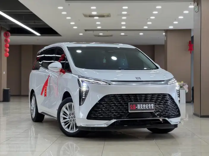 Century 2023 Model 2.0T VI seat Yunshi Edition – фото 3