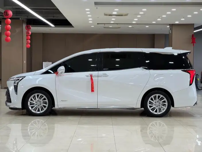 Century 2023 Model 2.0T VI seat Yunshi Edition – фото 4