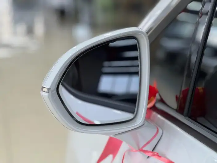 Century 2023 Model 2.0T VI seat Yunshi Edition – фото 9