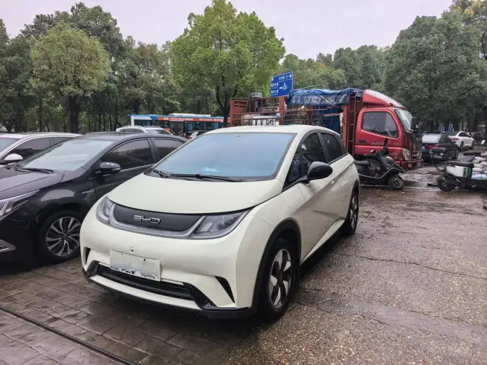 BYD Dolphin 2025 Model 420KM Vitality Edition